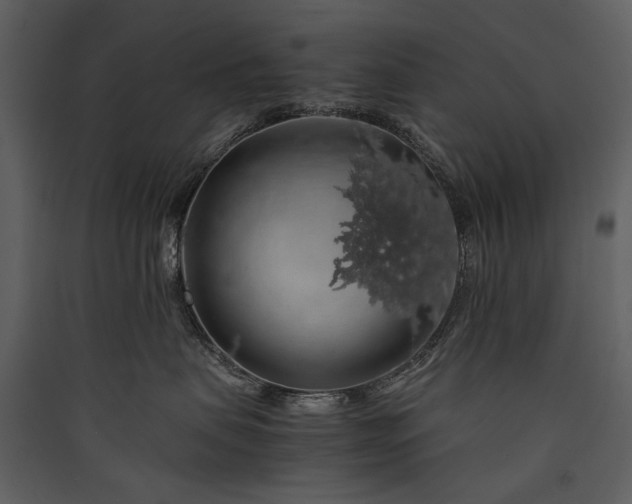 X0000089920479200707131414