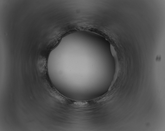 X0000089920480200707131414