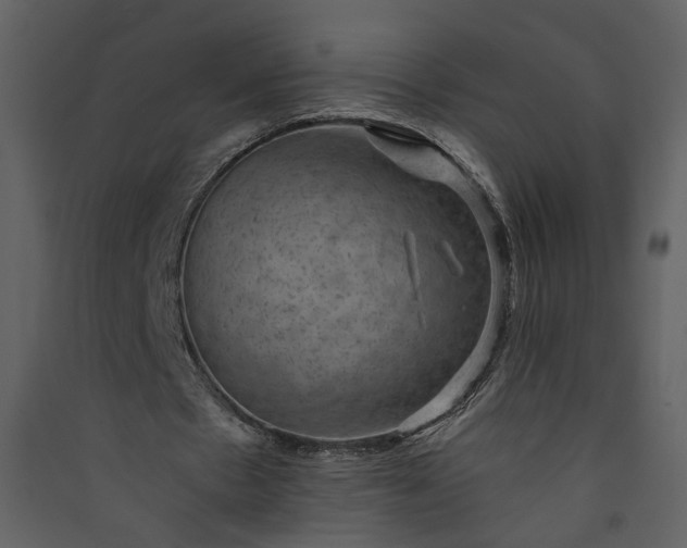 X0000089920481200707131414