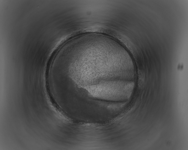 X0000089920482200707131414