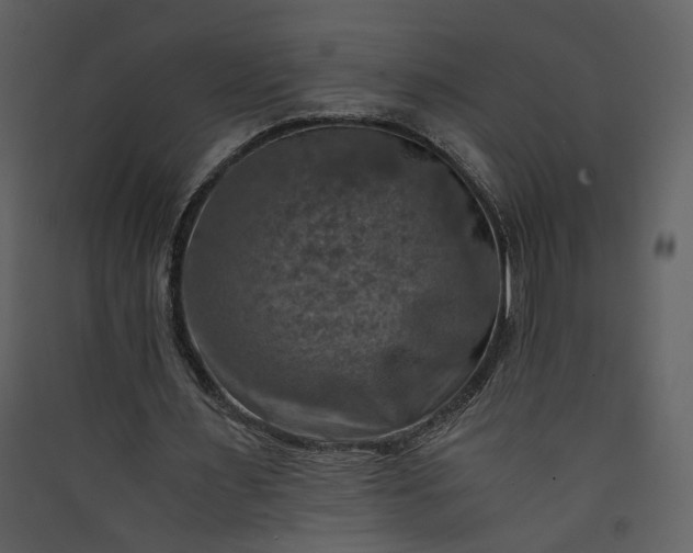 X0000089920483200707131414