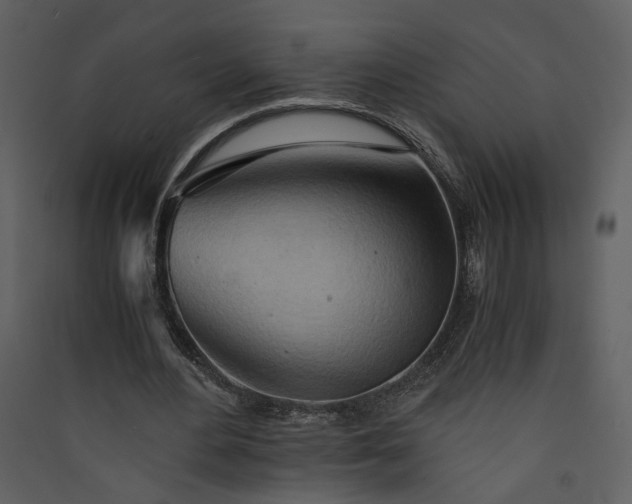X0000089920484200707131414