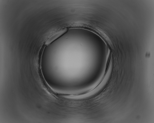 X0000089920485200707131414