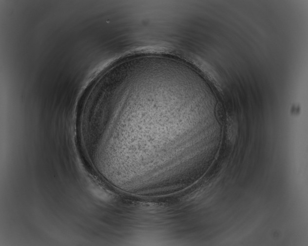 X0000089920486200707131414