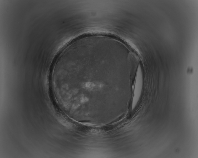 X0000089920487200707131414