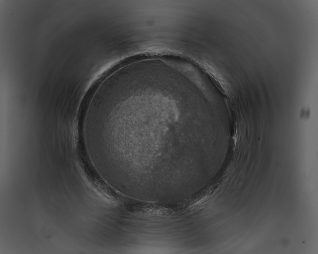 X0000089920488200707131414