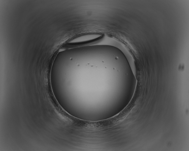 X0000089920489200707131414