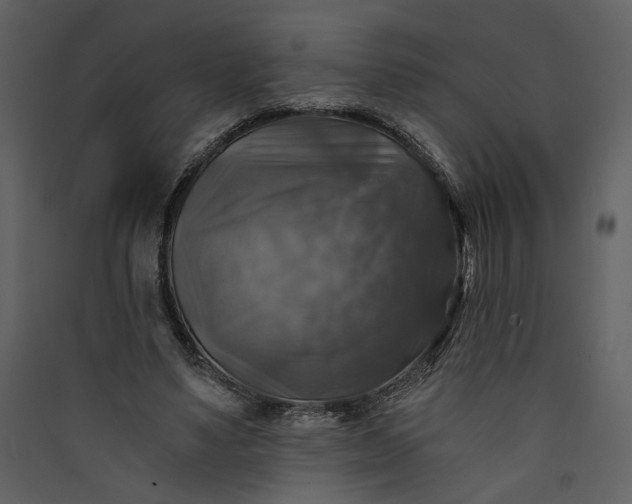 X0000089920491200707131414