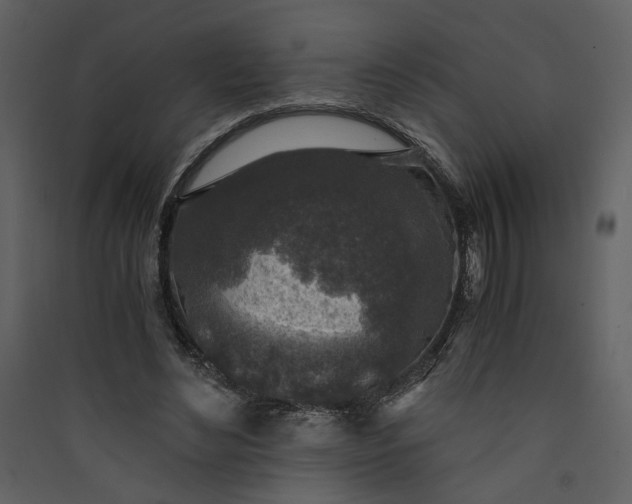 X0000089920492200707131414
