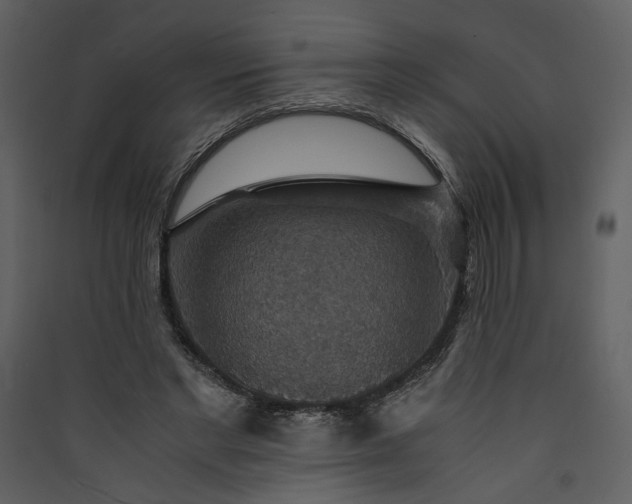 X0000089920493200707131414
