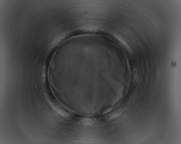 X0000089920494200707131414