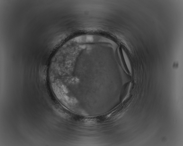 X0000089920495200707131414