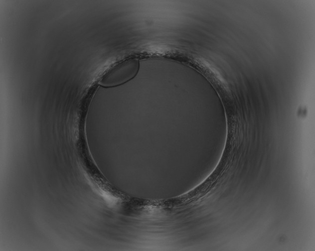 X0000089920496200707131414
