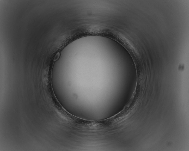 X0000089920497200707131414