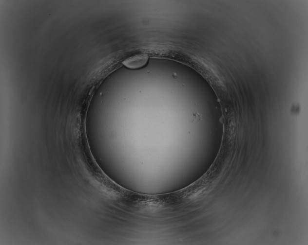X0000089920498200707131414