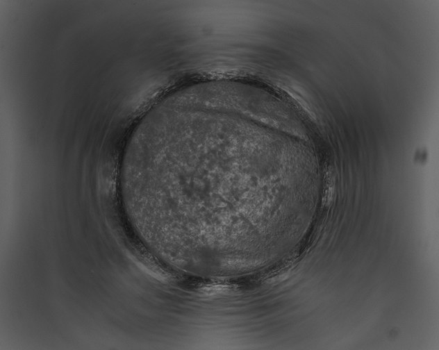 X0000089920499200707131414