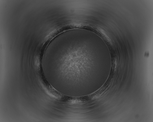 X0000089920500200707131414