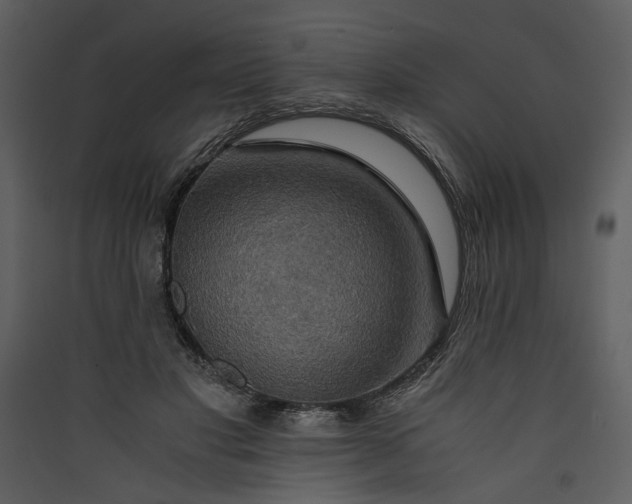 X0000089920501200707131414
