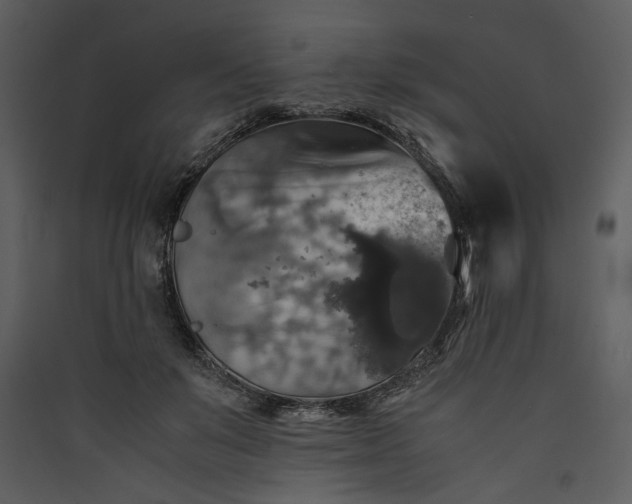 X0000089920503200707131414