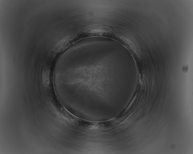 X0000089920504200707131414