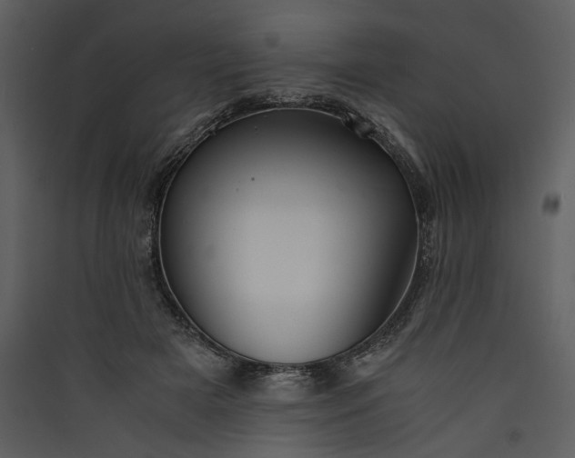 X0000089920505200707131414