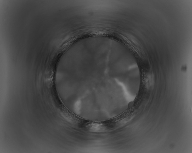 X0000089920507200707131414