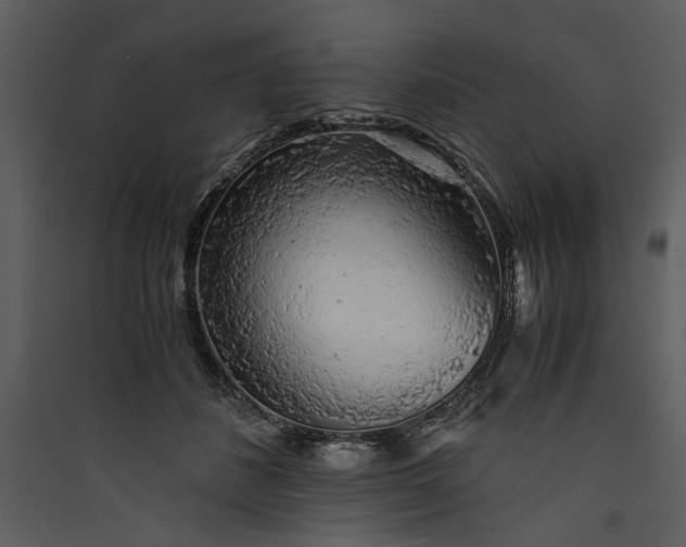 X0000089920508200707131413