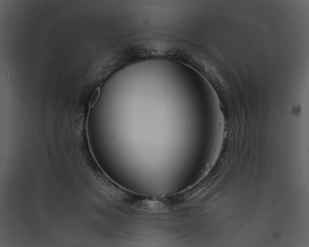 X0000089920509200707131413