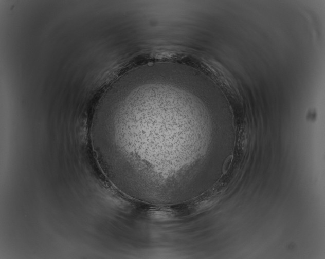 X0000089920510200707131413