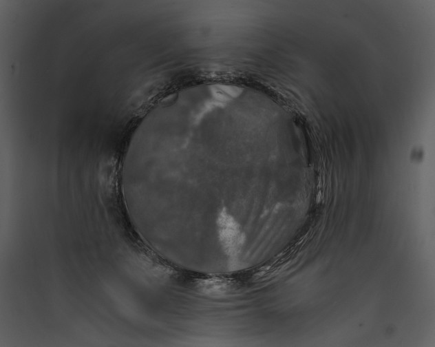 X0000089920511200707131413