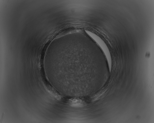 X0000089920512200707131413