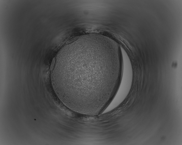 X0000089920513200707131413