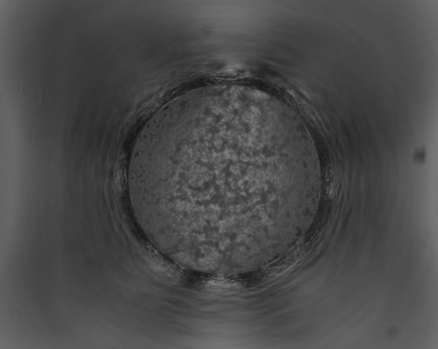 X0000089920515200707131413