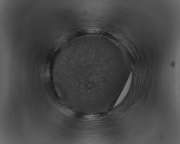 X0000089920516200707131413