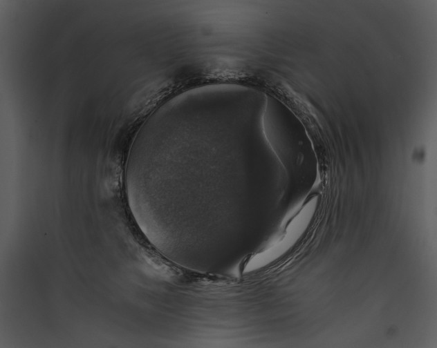 X0000089920517200707131413