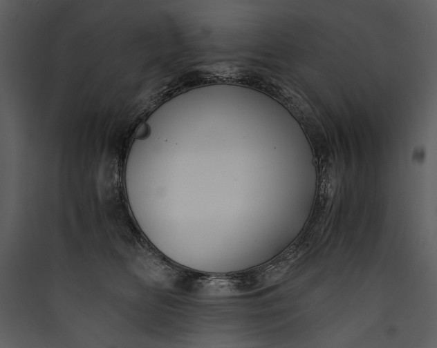 X0000089920518200707131413