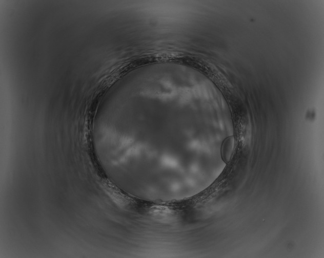 X0000089920519200707131413