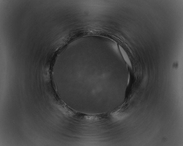 X0000089920520200707131413