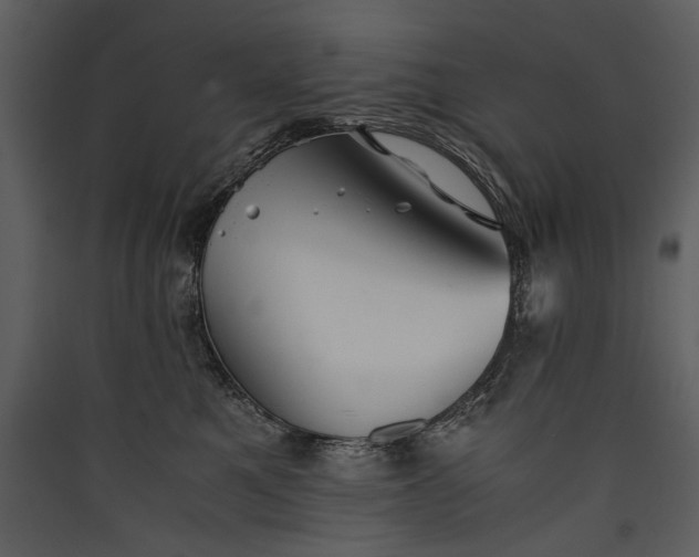 X0000089920521200707131413