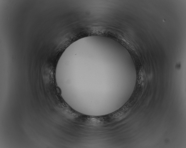 X0000089920522200707131413