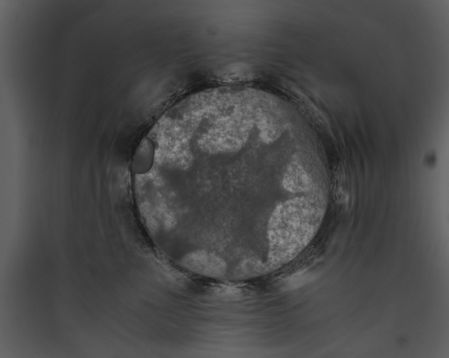 X0000089920523200707131413