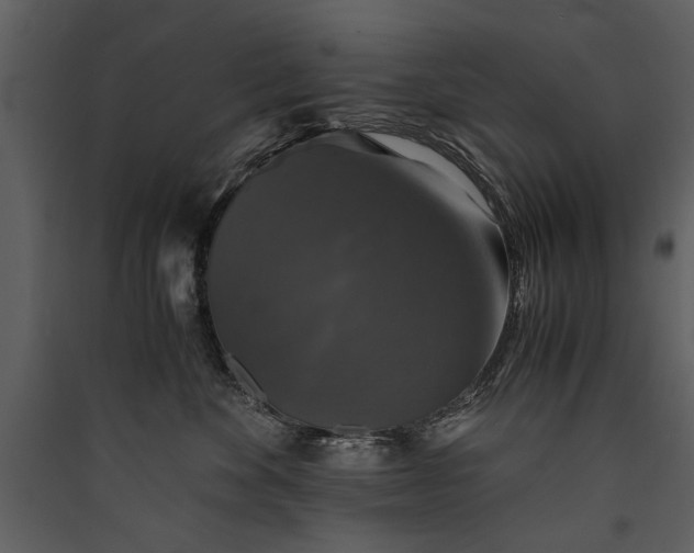 X0000089920524200707131413