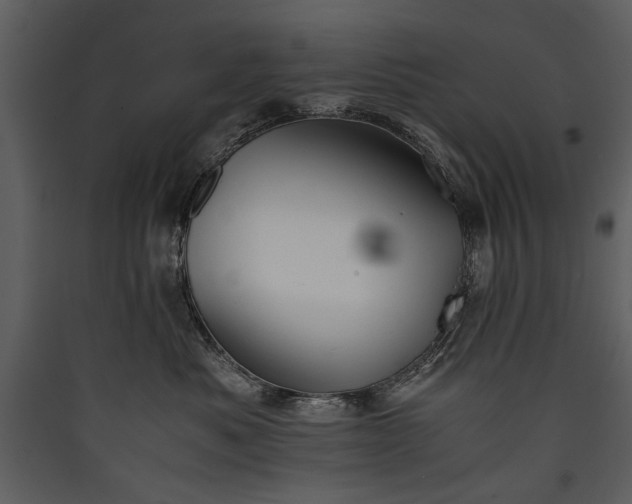 X0000089920525200707131413