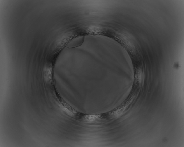 X0000089920526200707131413