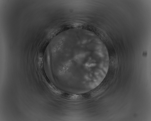 X0000089920527200707131413