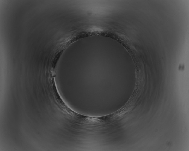 X0000089920528200707131413