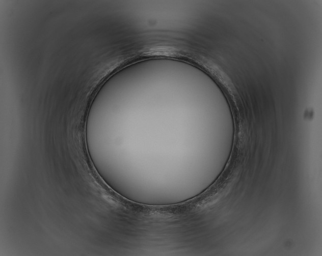 X0000089920529200707131413