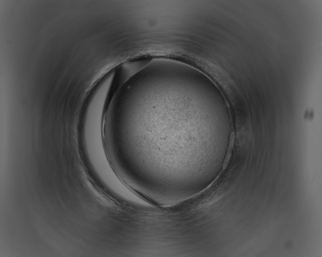 X0000089920530200707131413