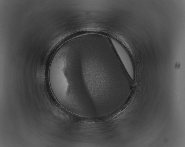 X0000089920531200707131413