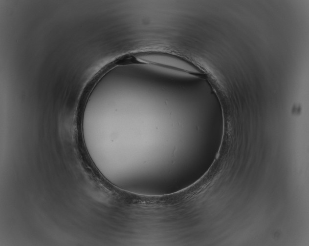 X0000089920532200707131413